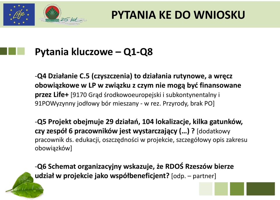 subkontynentalny i 91POWyzynny jodłowy bór mieszany - w rez.