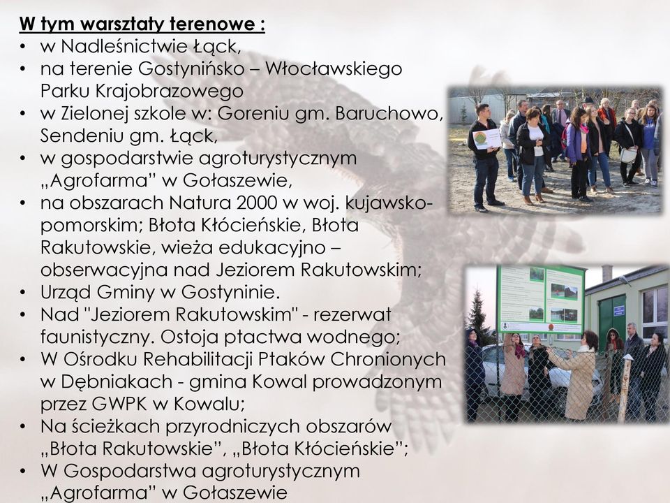 kujawskopomorskim; Błota Kłócieńskie, Błota Rakutowskie, wieża edukacyjno obserwacyjna nad Jeziorem Rakutowskim; Urząd Gminy w Gostyninie.