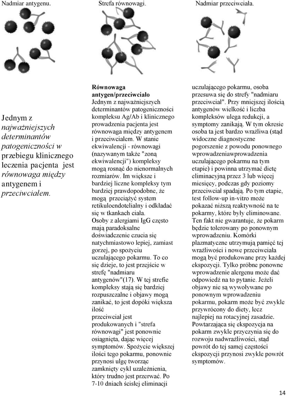 Równowaga antygen/przeciwciało Jednym z najważniejszych determinantów patogeniczności kompleksu Ag/Ab i klinicznego prowadzenia pacjenta jest równowaga między antygenem i przeciwciałem.