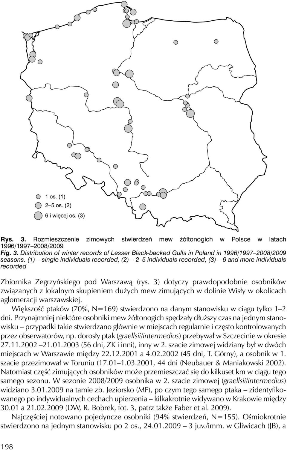 3) dotyczy prawdopodobnie osobników związanych z lokalnym skupieniem dużych mew zimujących w dolinie Wisły w okolicach aglomeracji warszawskiej.