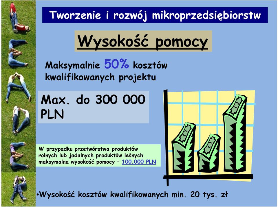 do 300 000 PLN W przypadku przetwórstwa produktów rolnych lub jadalnych