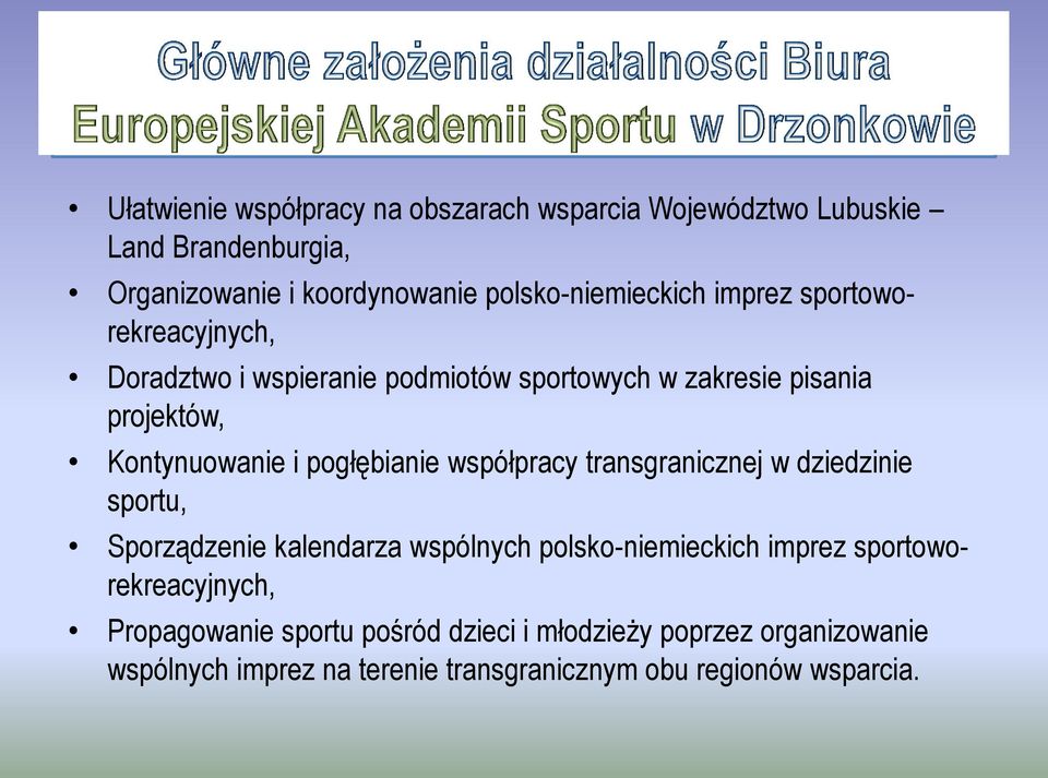 Kontynuowanie i pogłębianie współpracy transgranicznej w dziedzinie sportu, Sporządzenie kalendarza wspólnych polsko-niemieckich