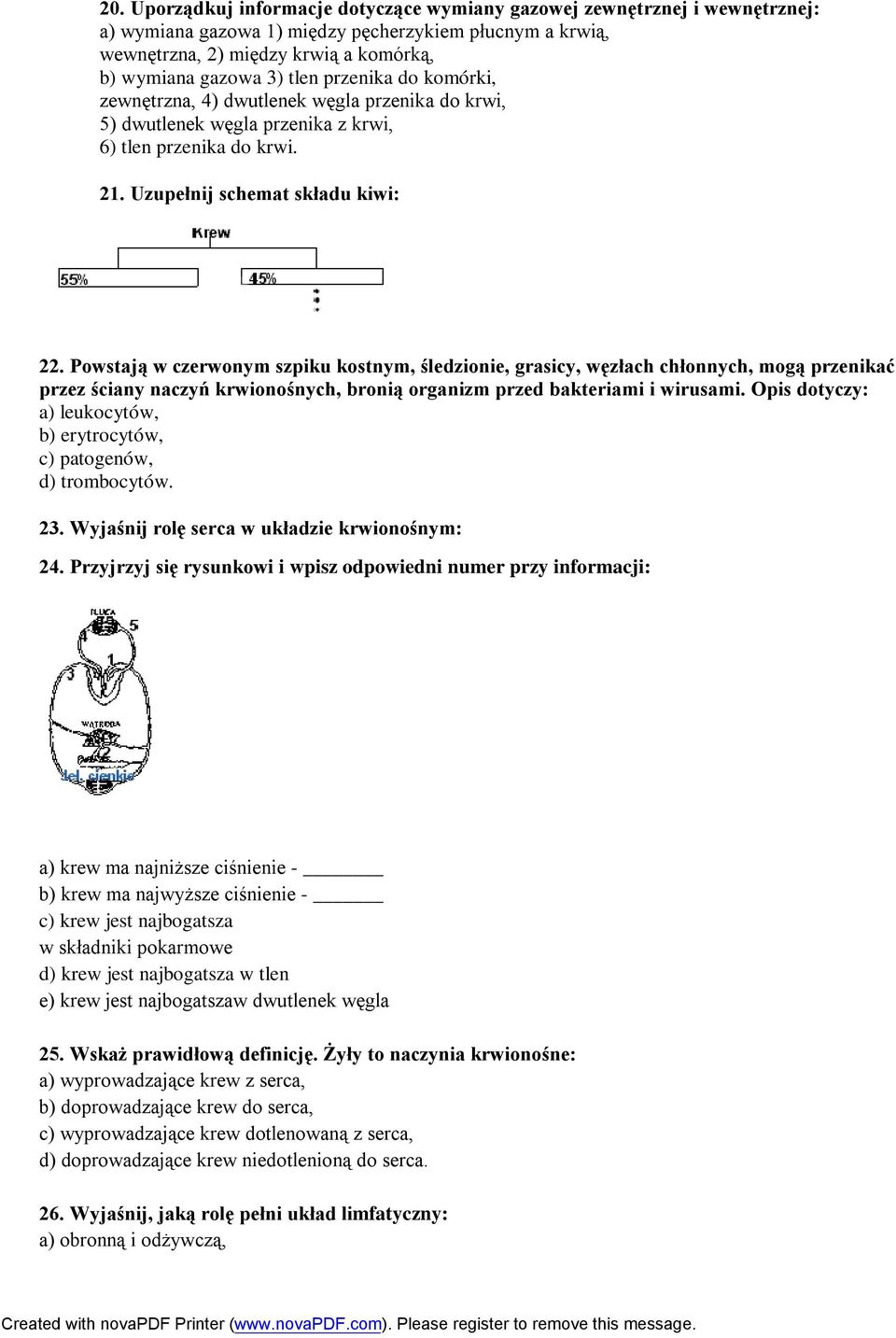 Powstają w czerwonym szpiku kostnym, śledzionie, grasicy, węzłach chłonnych, mogą przenikać przez ściany naczyń krwionośnych, bronią organizm przed bakteriami i wirusami.