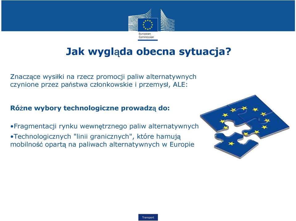 członkowskie i przemysł, ALE: Różne wybory technologiczne prowadzą do: Fragmentacji