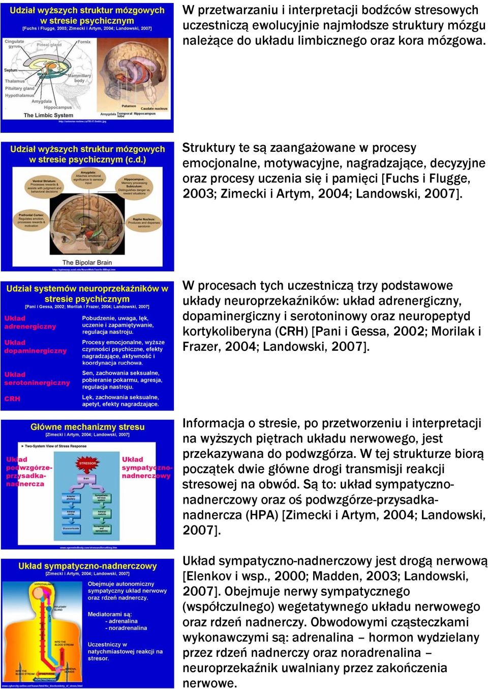 W procesach tych uczestniczą trzy podstawowe układy neuroprzekaźników: układ adrenergiczny, dopaminergiczny i serotoninowy oraz neuropeptyd kortykoliberyna (CRH) [Pani i Gessa, 2002; Morilak i