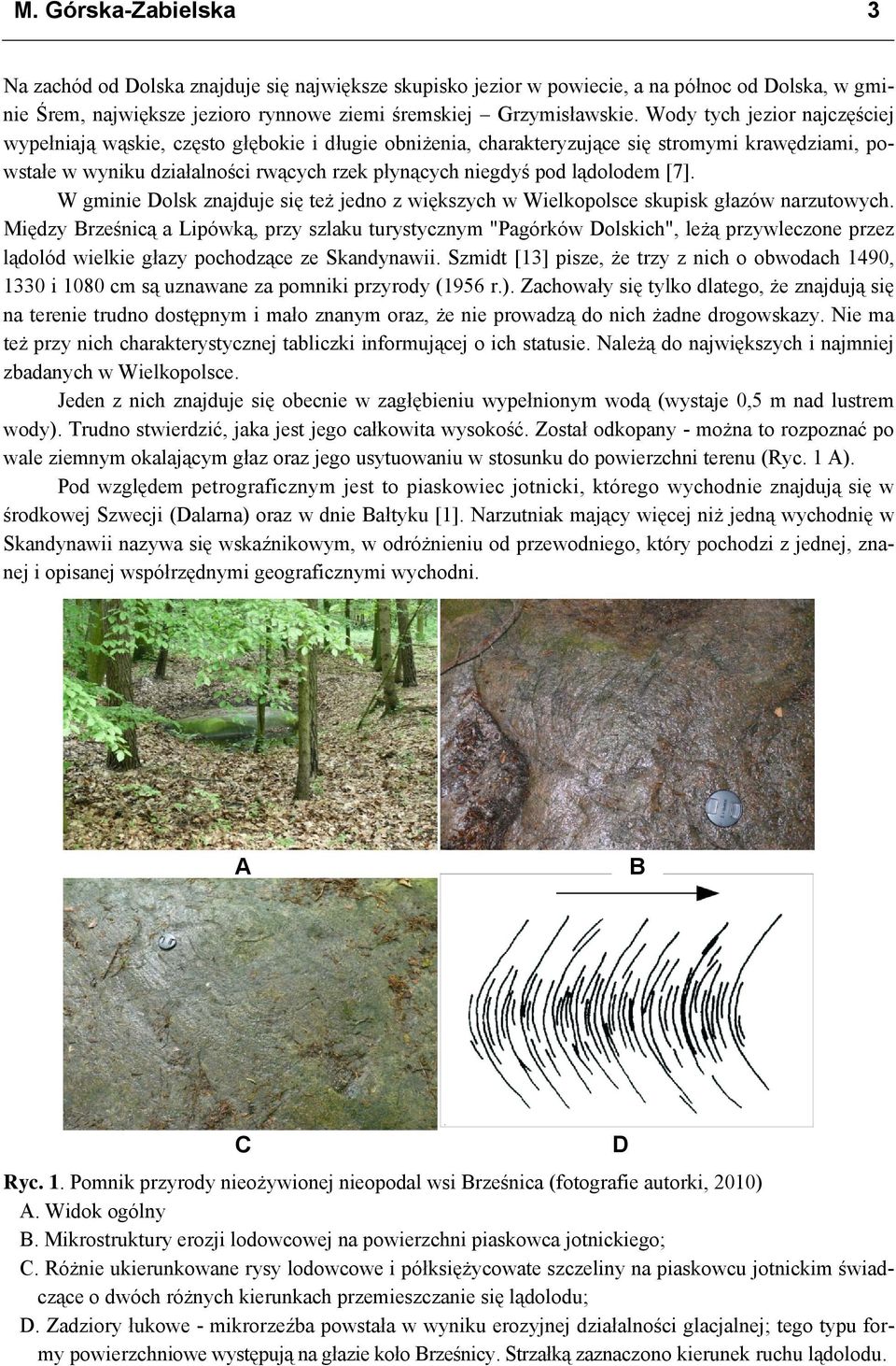 lądolodem [7]. W gminie Dolsk znajduje się też jedno z większych w Wielkopolsce skupisk głazów narzutowych.