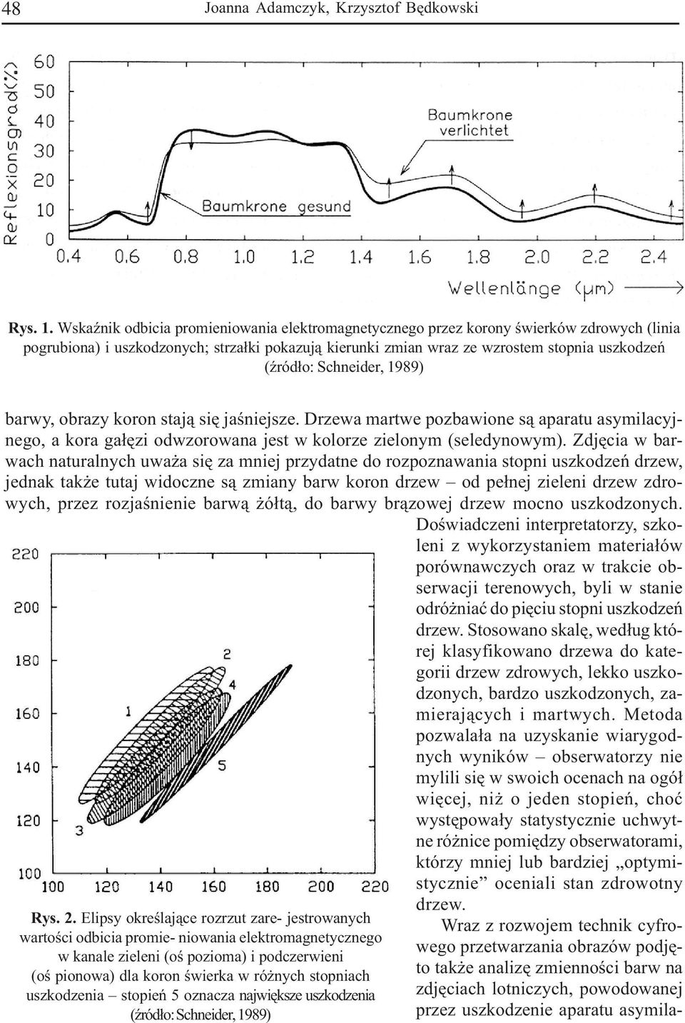 Schneider, 1989) barwy, obrazy koron staj¹ siê jaœniejsze. Drzewa martwe pozbawione s¹ aparatu asymilacyjnego, a kora ga³êzi odwzorowana jest w kolorze zielonym (seledynowym).