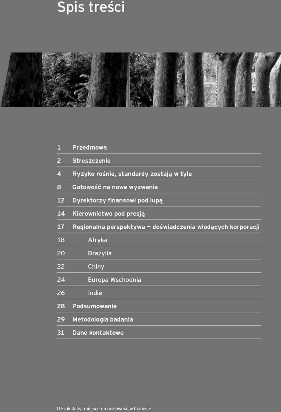 perspektywa doświadczenia wiodących korporacji 18 Afryka 20 Brazylia 22 Chiny 24 Europa Wschodnia