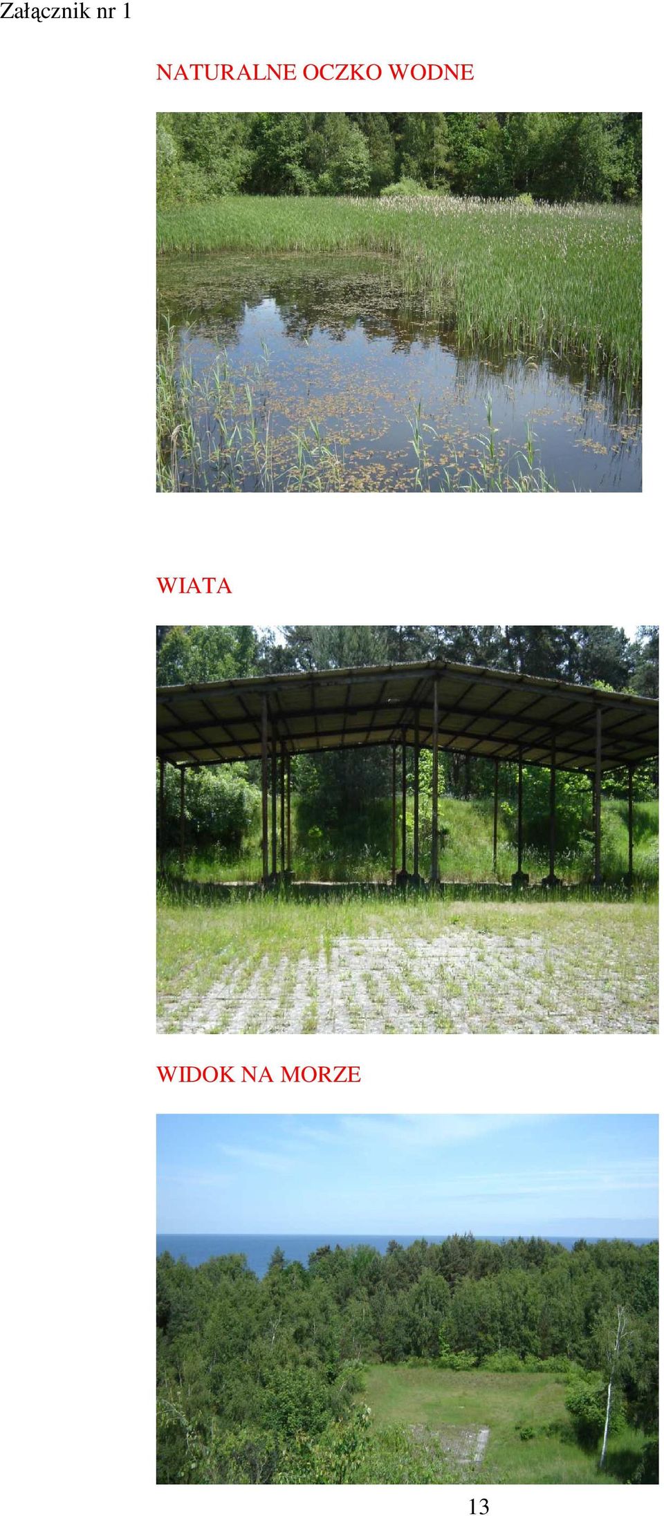 WIATA WIDOK