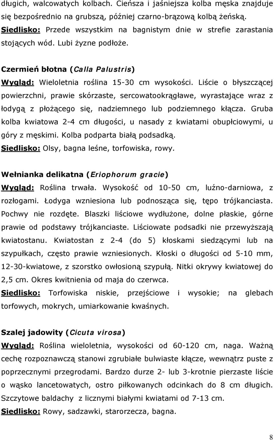 Liście o błyszczącej powierzchni, prawie skórzaste, sercowatookrągławe, wyrastające wraz z łodygą z płożącego się, nadziemnego lub podziemnego kłącza.