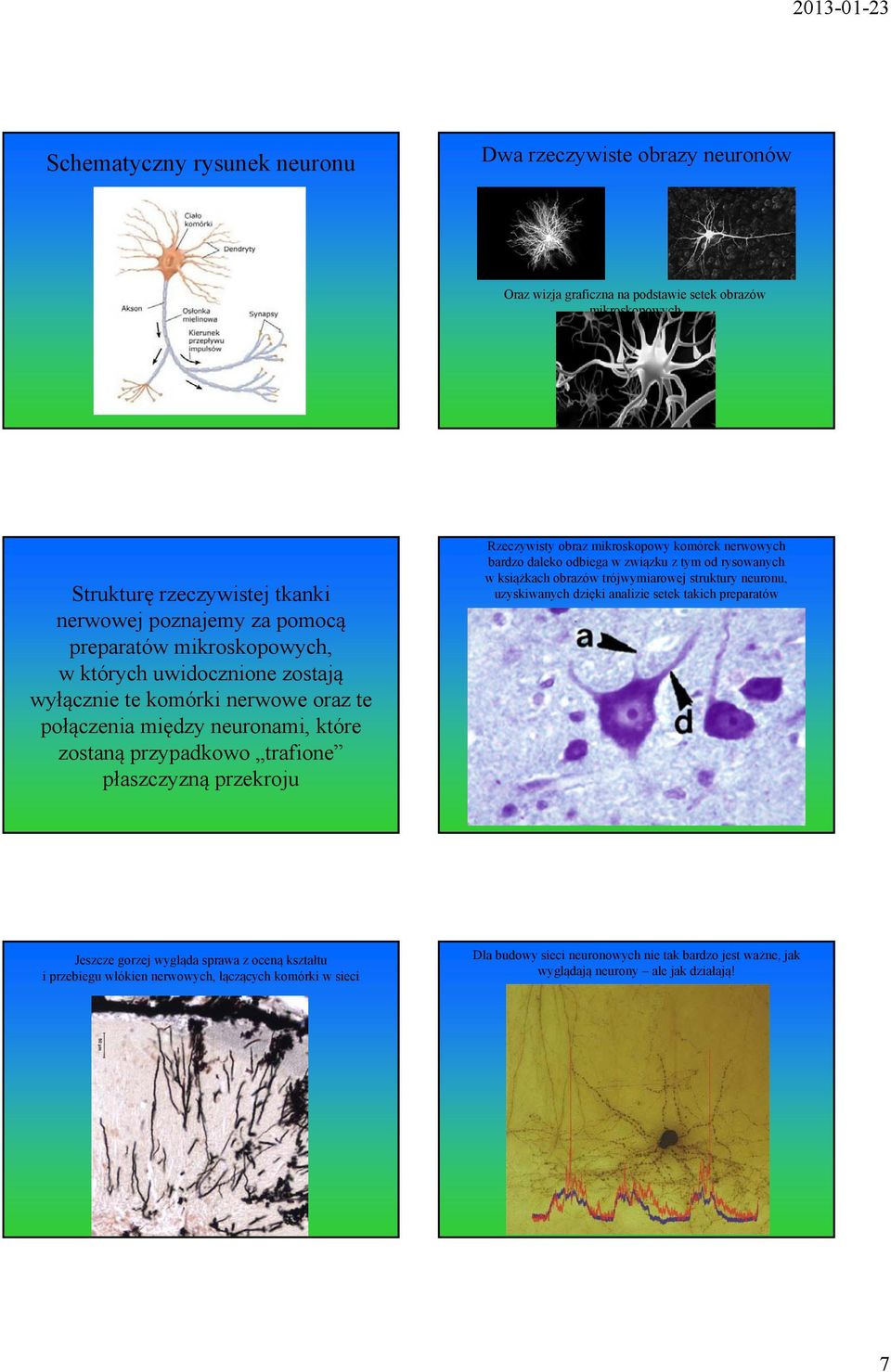 mikroskopowy komórek nerwowych bardzo daleko odbiega w związku z tym od rysowanych w książkach obrazów trójwymiarowej struktury neuronu, uzyskiwanych dzięki analizie setek takich preparatów