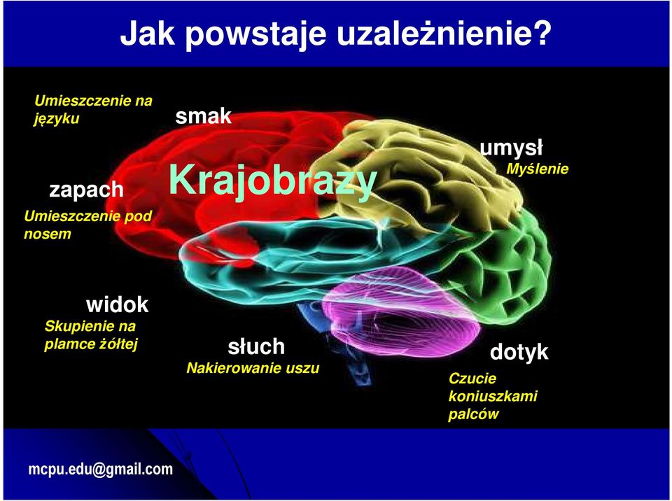 nosem smak Krajobrazy umysł Myślenie widok