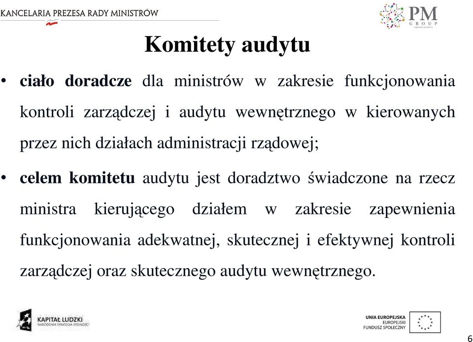 audytu jest doradztwo świadczone na rzecz ministra kierującego działem w zakresie zapewnienia