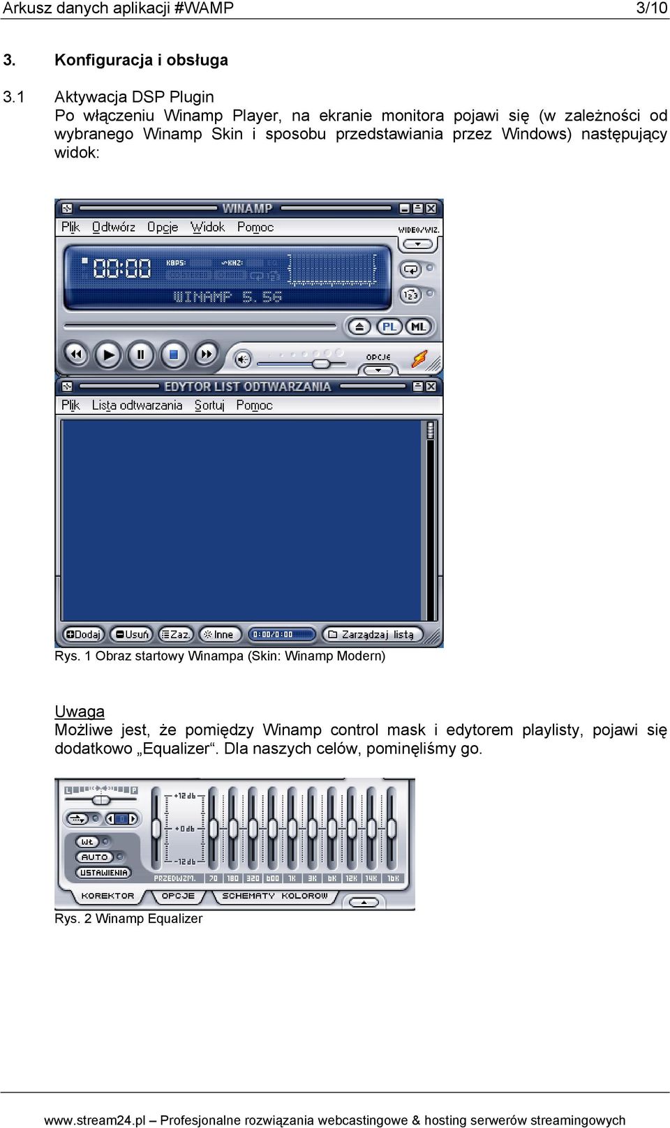 Winamp Skin i sposobu przedstawiania przez Windows) następujący widok: Rys.