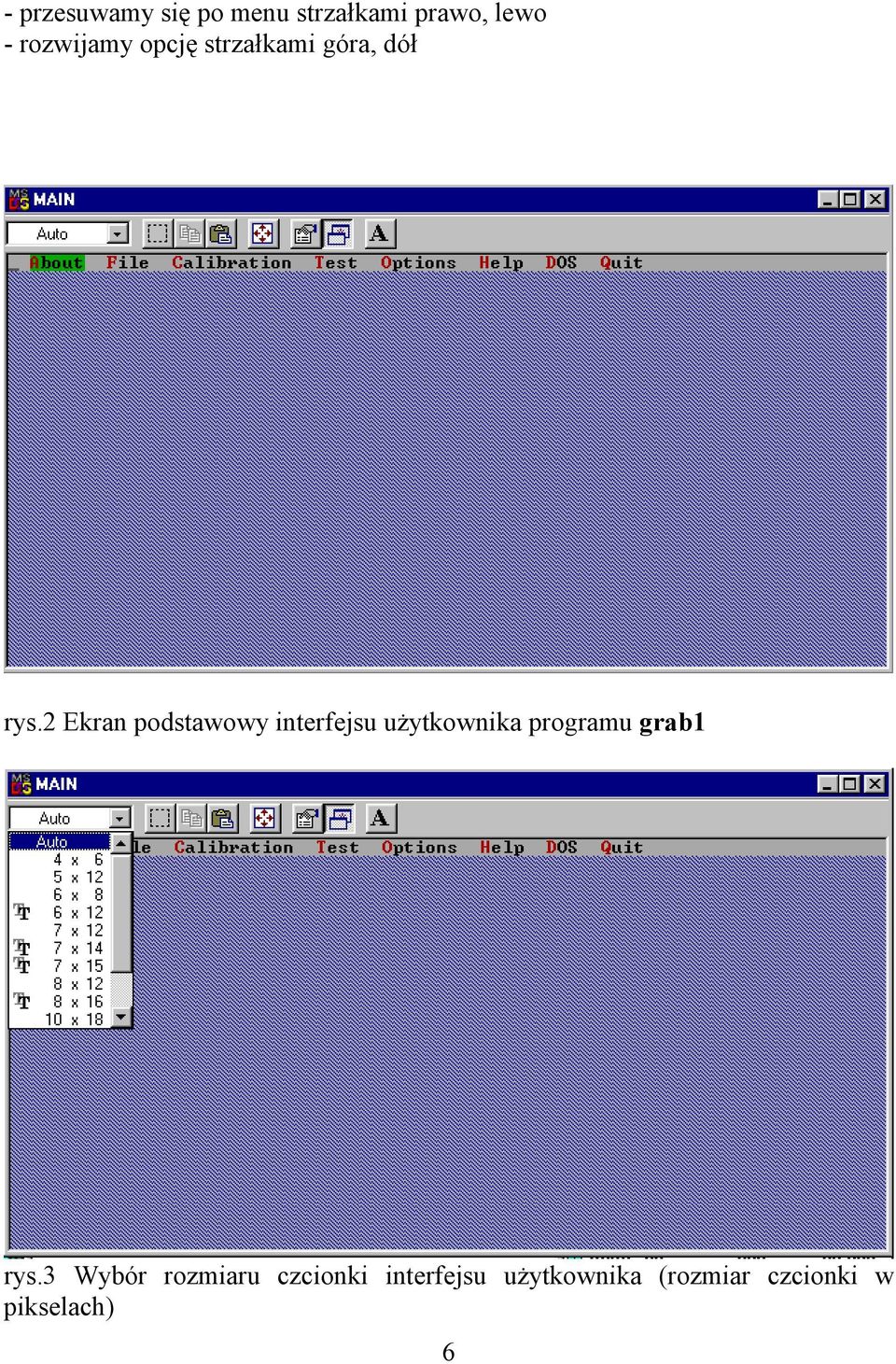 2 Ekran podstawowy interfejsu użytkownika programu grab1