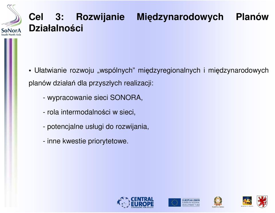 dla przyszłych realizacji: - wypracowanie sieci SONORA, - rola