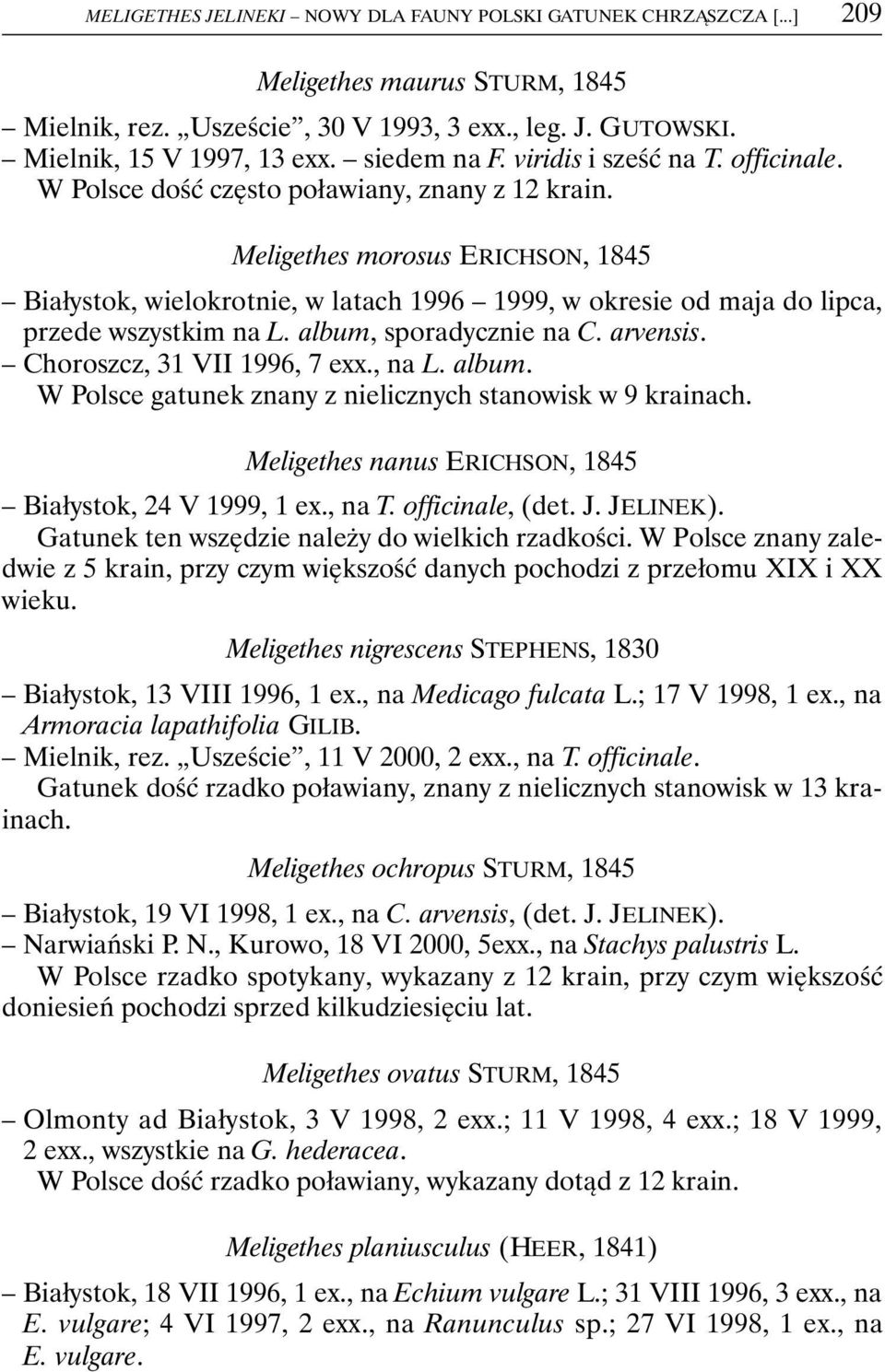 Meligethes morosus ERICHSON, 1845 Białystok, wielokrotnie, w latach 1996 1999, w okresie od maja do lipca, przede wszystkim na L. album, sporadycznie na C. arvensis. Choroszcz, 31 VII 1996, 7 exx.