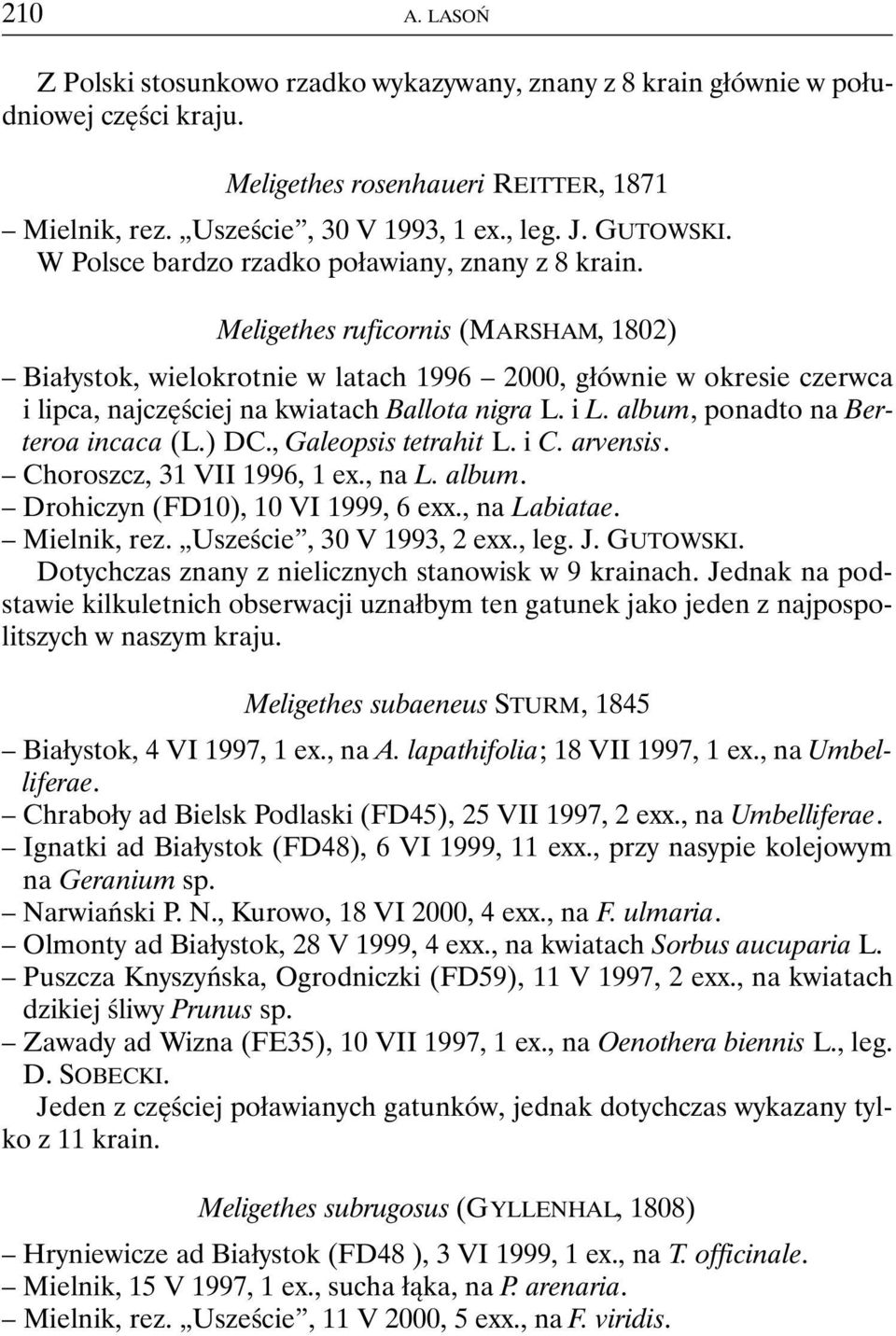 Meligethes ruficornis (MARSHAM, 1802) Białystok, wielokrotnie w latach 1996 2000, głównie w okresie czerwca i lipca, najczęściej na kwiatach Ballota nigra L. i L. album, ponadto na Berteroa incaca (L.