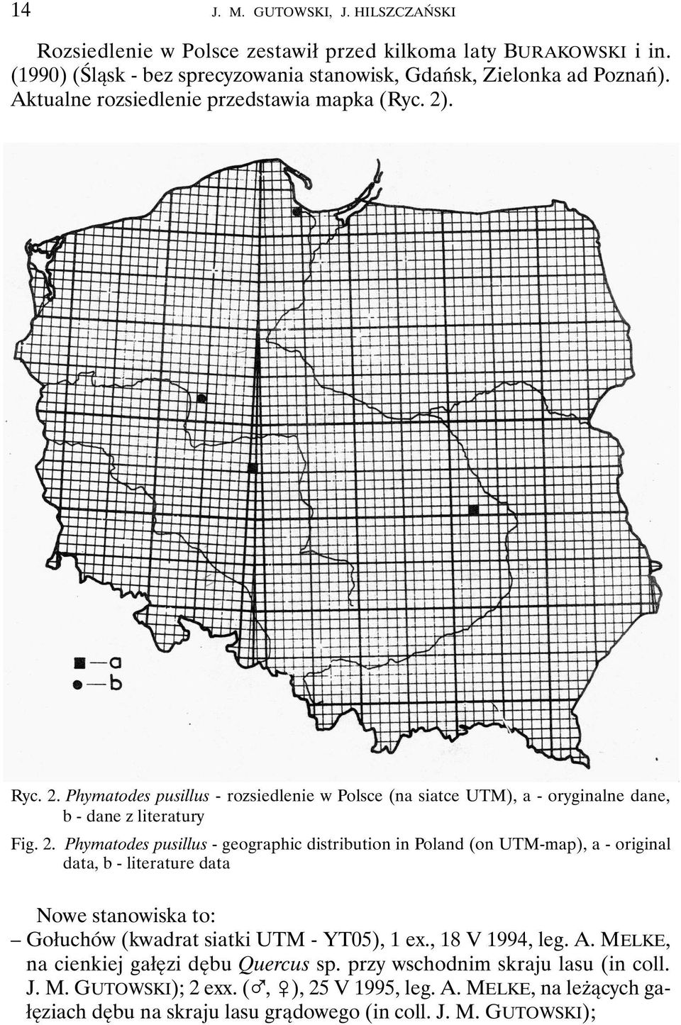 . Ryc. 2. Phymatodes pusillus - rozsiedlenie w Polsce (na siatce UTM), a - oryginalne dane, b - dane z literatury Fig. 2. Phymatodes pusillus - geographic distribution in Poland (on UTM-map), a - original data, b - literature data Nowe stanowiska to: Gołuchów (kwadrat siatki UTM - YT05), 1 ex.