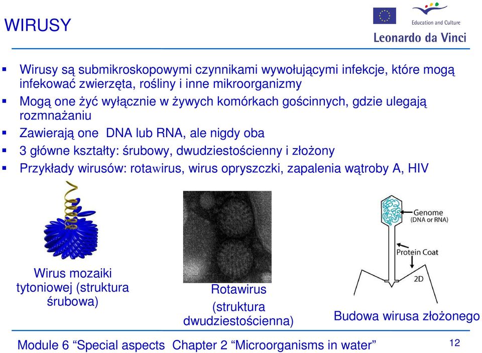 śrubowy, dwudziestościenny i złożony Przykłady wirusów: rotawirus, wirus opryszczki, zapalenia wątroby A, HIV Wirus mozaiki tytoniowej