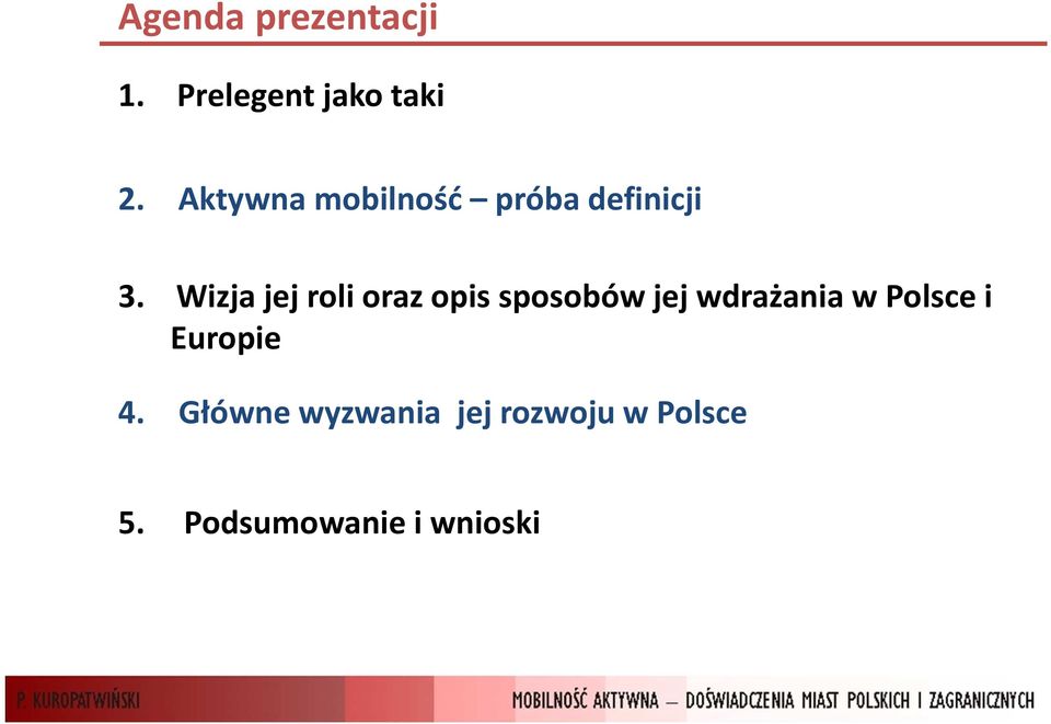 Wizja jej roli oraz opis sposobów jej wdrażania w