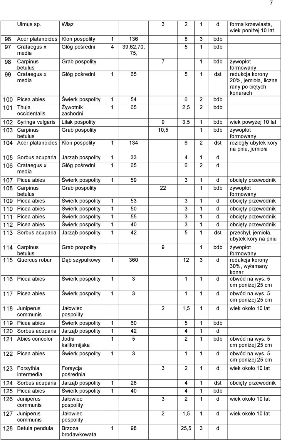 bdb żywopłot formowany 99 Crataegus x media Głóg pośredni 1 65 5 1 dst redukcja korony 20%, jemioła, liczne rany po ciętych konarach 100 Picea abies Świerk pospolity 1 54 6 2 bdb 101 Thuja