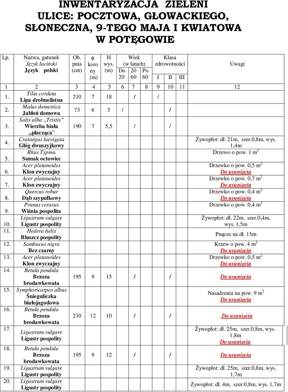 7 6 5 / / Jabłoń domowa Salix alba Tristis. Wierzba biała 190 7 5,5 / / płacząca Crataegus laevigata śywopłot: dł. 21m, szer.0,8m, wys. 4. Głóg dwuszyjkowy 1,4m Rhus Typina Drzewo o pow. 1 m 2 5.