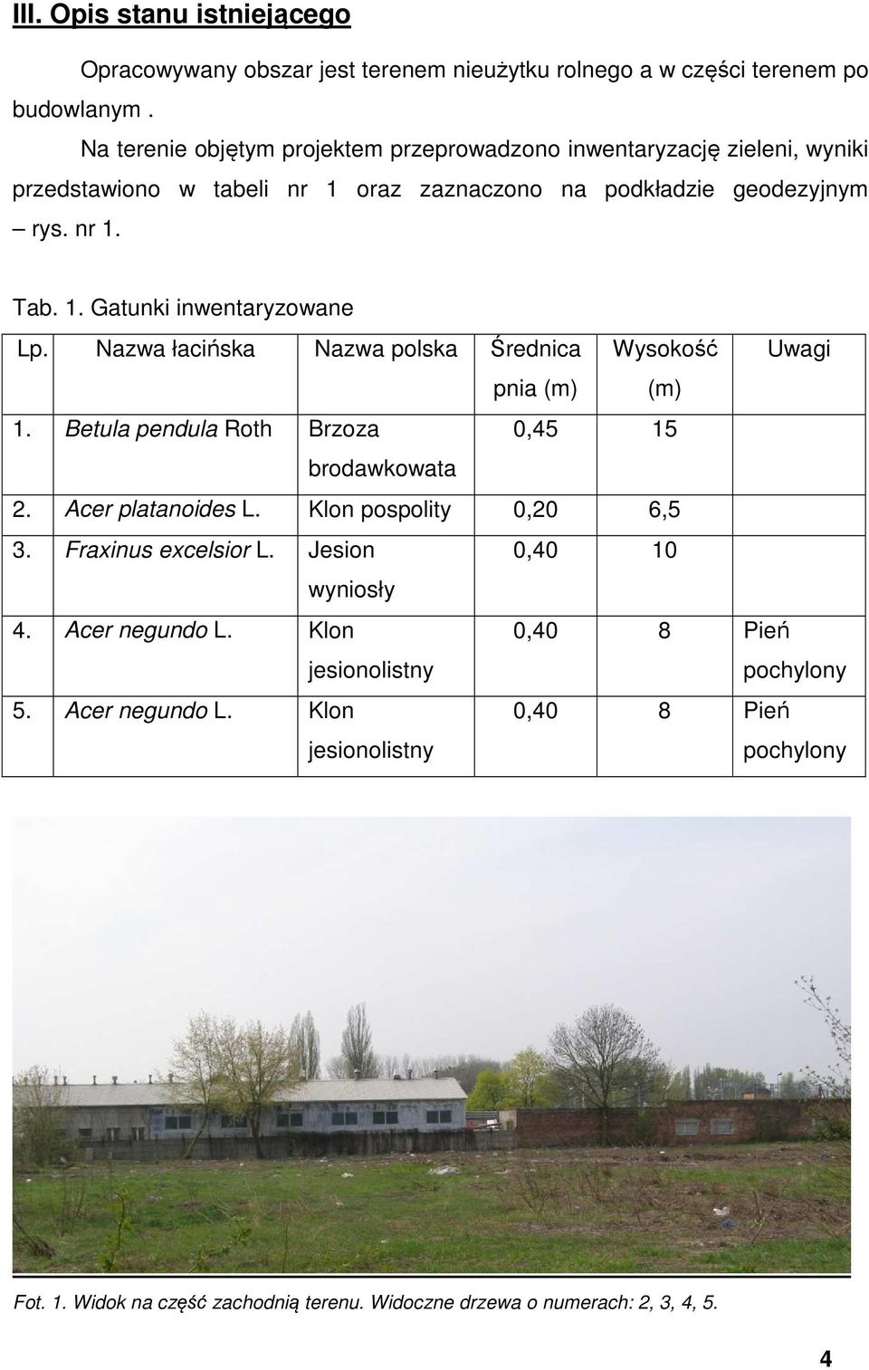 Nazwa łacińska Nazwa polska Średnica Wysokość Uwagi pnia (m) (m) 1. Betula pendula Roth Brzoza 0,45 15 brodawkowata 2. Acer platanoides L. Klon pospolity 0,20 6,5 3.