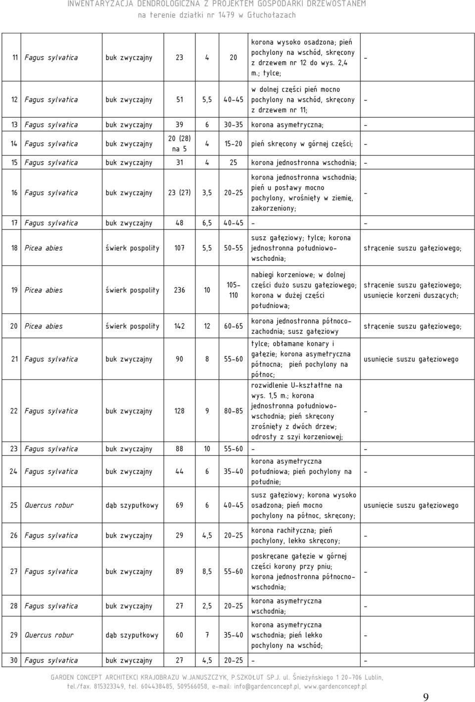 buk zwyczajny 20 (28) na 5 4 1520 pień skręcony w górnej części; 15 Fagus sylvatica buk zwyczajny 31 4 25 korona jednostronna wschodnia; 16 Fagus sylvatica buk zwyczajny 23 (27) 3,5 2025 korona