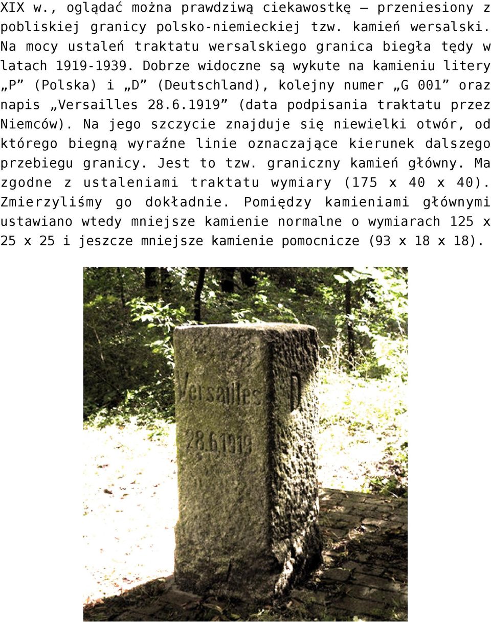 Dobrze widoczne są wykute na kamieniu litery P (Polska) i D (Deutschland), kolejny numer G 001 oraz napis Versailles 28.6.1919 (data podpisania traktatu przez Niemców).