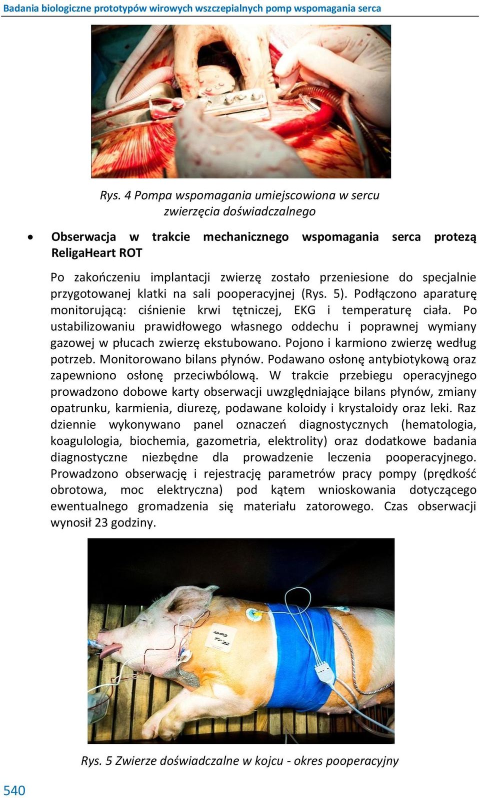 Po ustabilizowaniu prawidłowego własnego oddechu i poprawnej wymiany gazowej w płucach zwierzę ekstubowano. Pojono i karmiono zwierzę według potrzeb. Monitorowano bilans płynów.