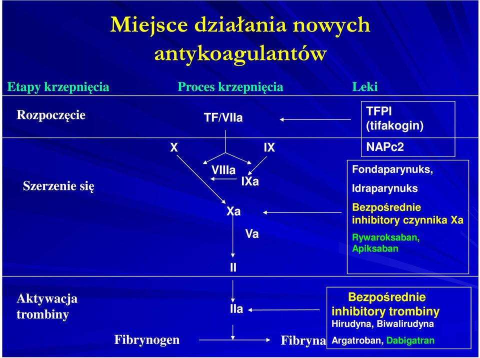 Idraparynuks Xa Va Bezpośrednie inhibitory czynnika Xa Rywaroksaban, Apiksaban II Aktywacja