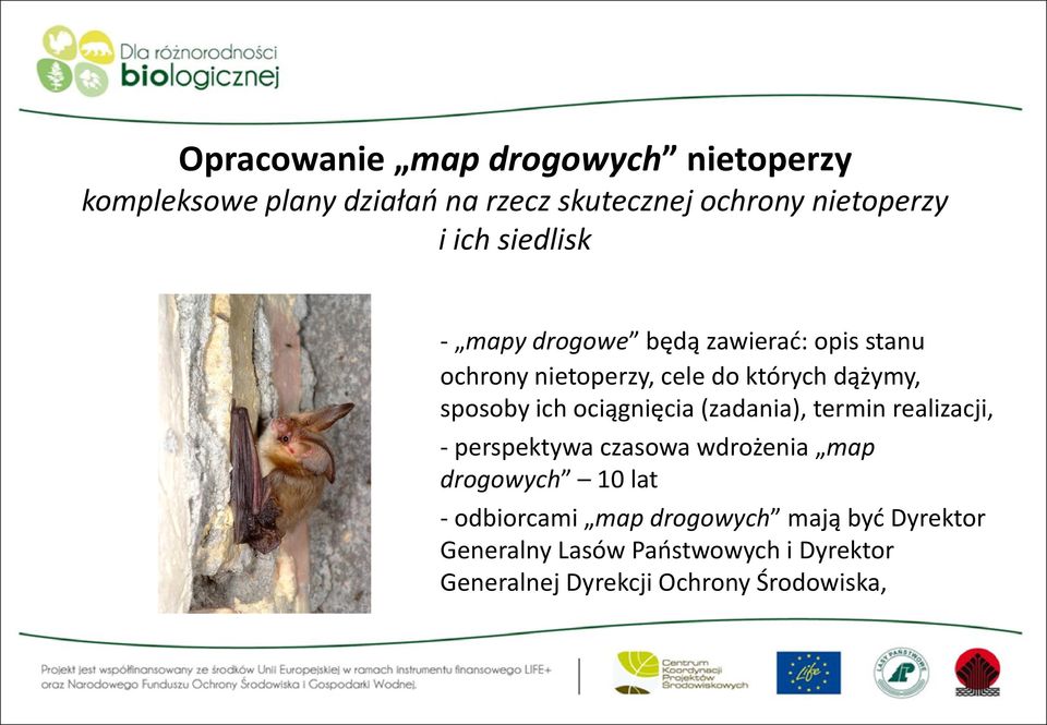 ociągnięcia (zadania), termin realizacji, - perspektywa czasowa wdrożenia map drogowych 10 lat - odbiorcami