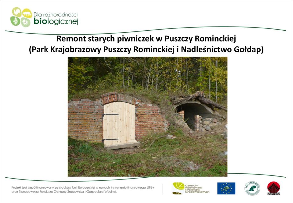 Krajobrazowy Puszczy