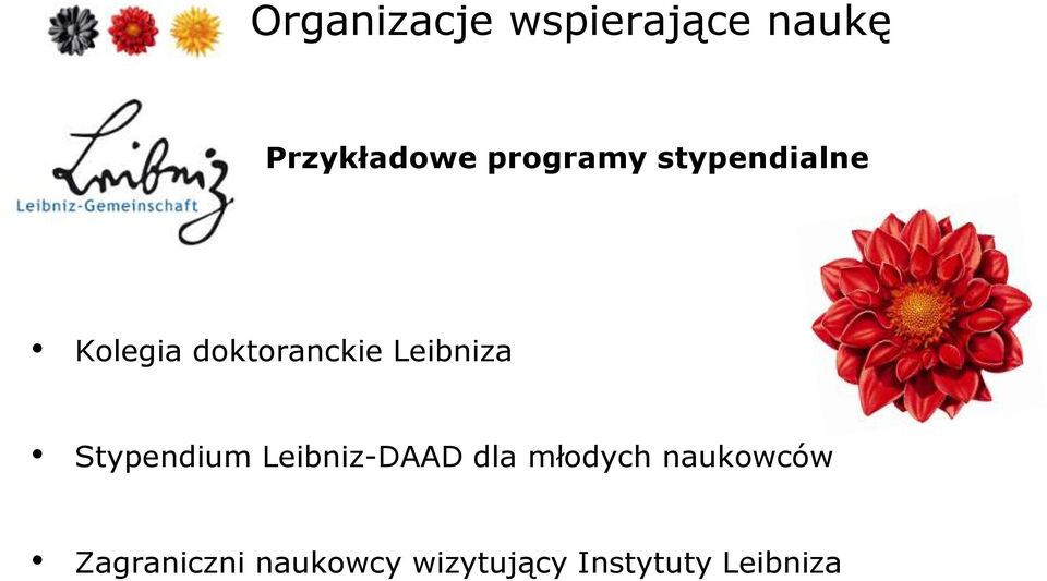 Stypendium Leibniz-DAAD dla młodych