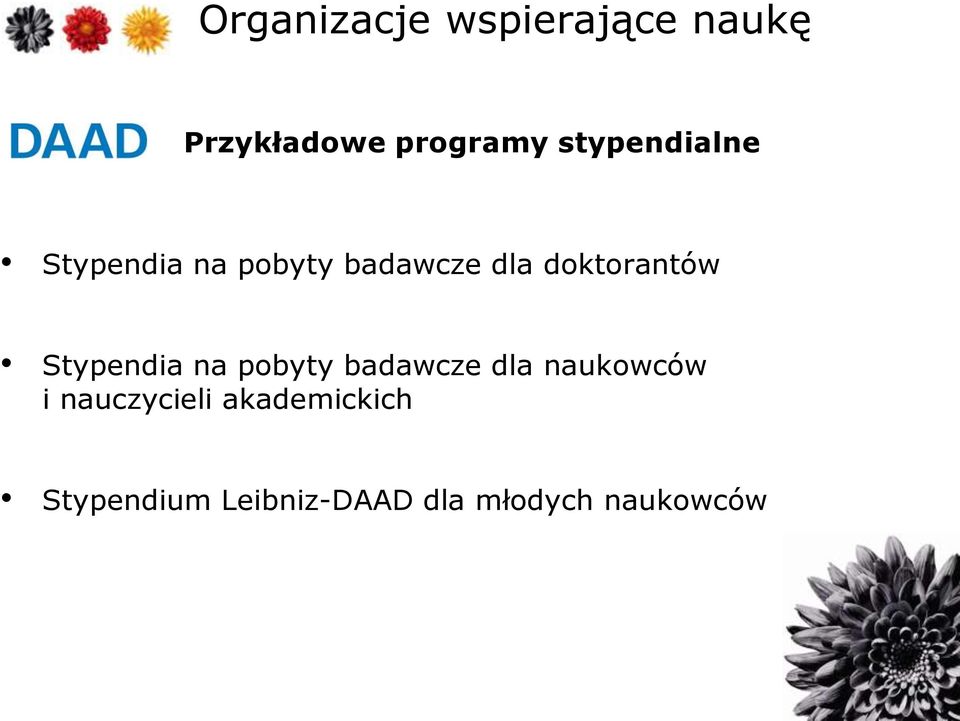 pobyty badawcze dla naukowców i nauczycieli