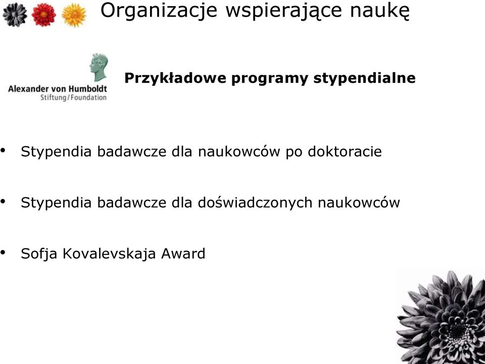 doktoracie Stypendia badawcze dla