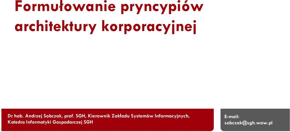 SGH, Kierownik Zakładu Systemów Informacyjnych, Katedra