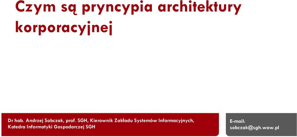 SGH, Kierownik Zakładu Systemów Informacyjnych, Katedra