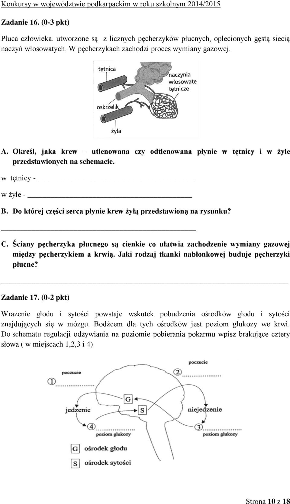 Ściany pęcherzyka płucnego są cienkie co ułatwia zachodzenie wymiany gazowej między pęcherzykiem a krwią. Jaki rodzaj tkanki nabłonkowej buduje pęcherzyki płucne? Zadanie 17.