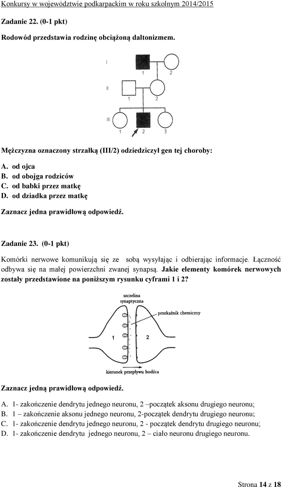 Łączność odbywa się na małej powierzchni zwanej synapsą. Jakie elementy komórek nerwowych zostały przedstawione na poniższym rysunku cyframi 1 i 2? Zaznacz jedną prawidłową odpowiedź. A.