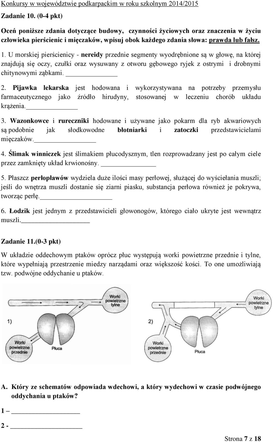 U morskiej pierścienicy - nereidy przednie segmenty wyodrębnione są w głowę, na której znajdują się oczy, czułki oraz wysuwany z otworu gębowego ryjek z ostrymi i drobnymi chitynowymi ząbkami. 2.