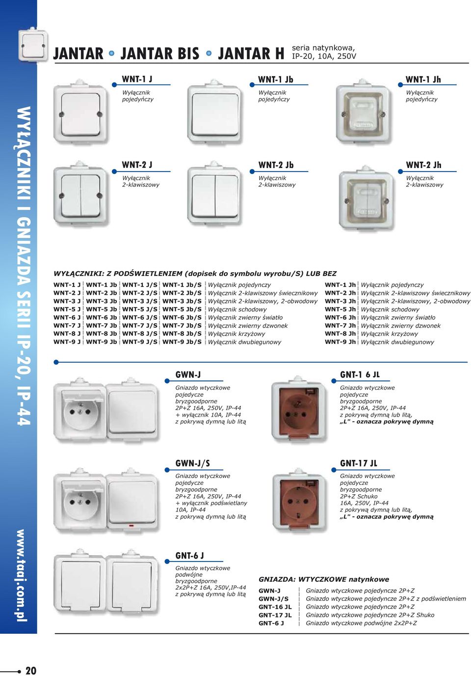 LUB BEZ WNT-1 J/S WNT-2 J/S WNT-3 J/S WNT-5 J/S WNT-6 J/S WNT-7 J/S WNT-8 J/S WNT-9 J/S WNT-1 Jb/S WNT-2 Jb/S WNT-3 Jb/S WNT-5 Jb/S WNT-6 Jb/S WNT-7 Jb/S WNT-8 Jb/S WNT-9 Jb/S GWN-J pojedynczy