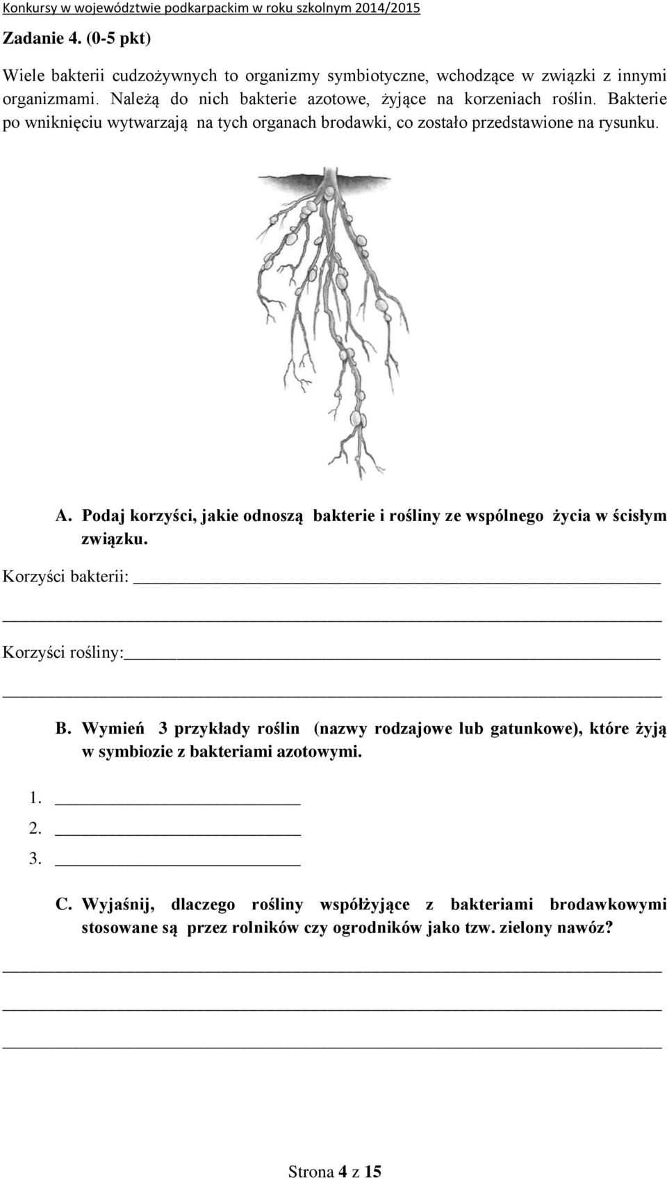 Podaj korzyści, jakie odnoszą bakterie i rośliny ze wspólnego życia w ścisłym związku. Korzyści bakterii: Korzyści rośliny: B.