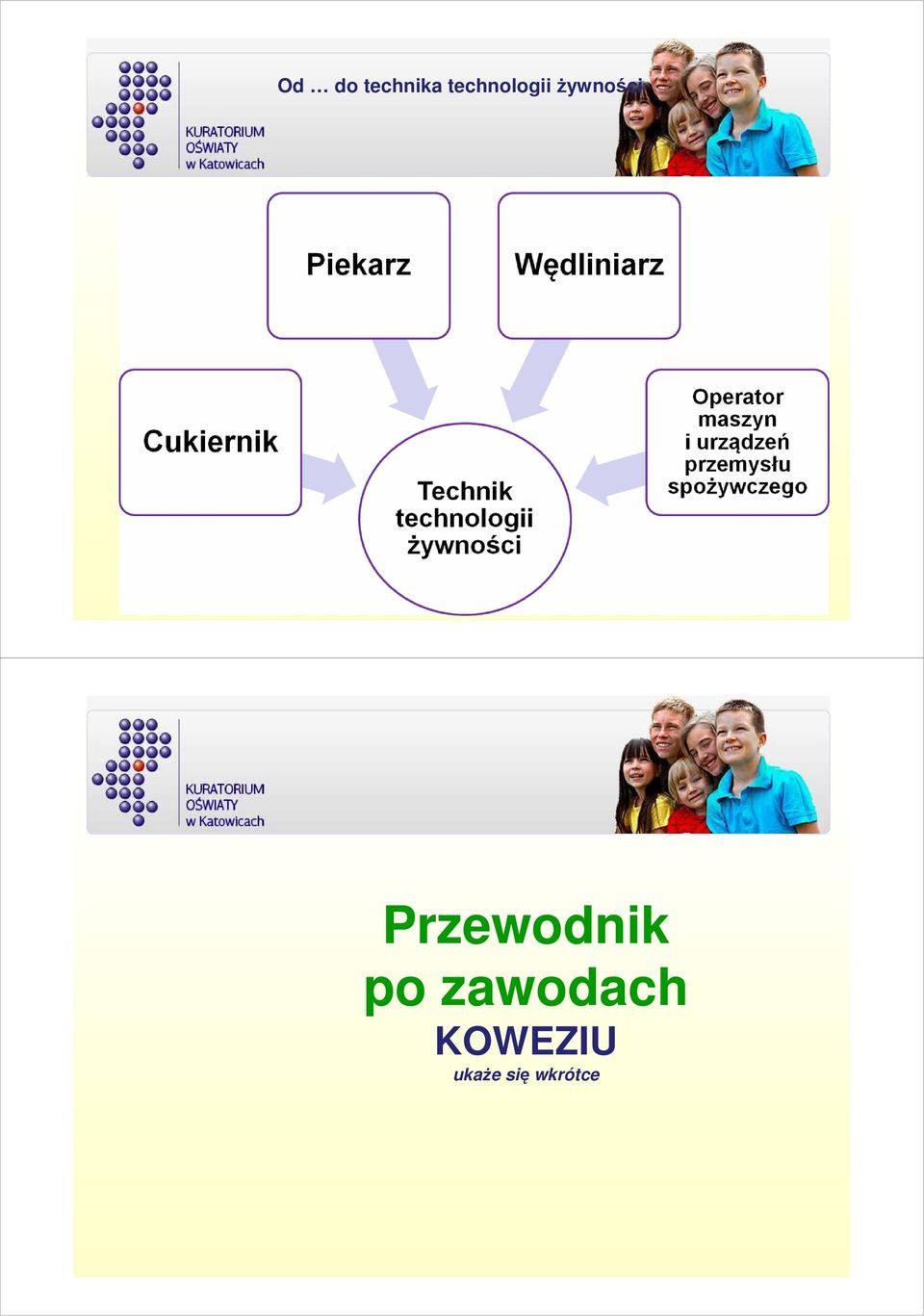 Przewodnik po