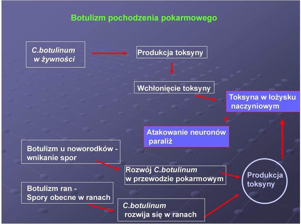 naczyniowym Botulizm u noworodków - wnikanie spor Botulizm ran - Spory obecne w