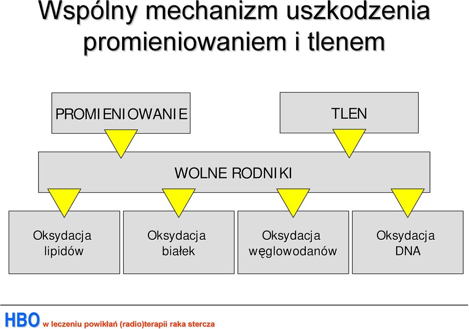 TLEN WOLNE RODNIKI Oksydacja lipidów