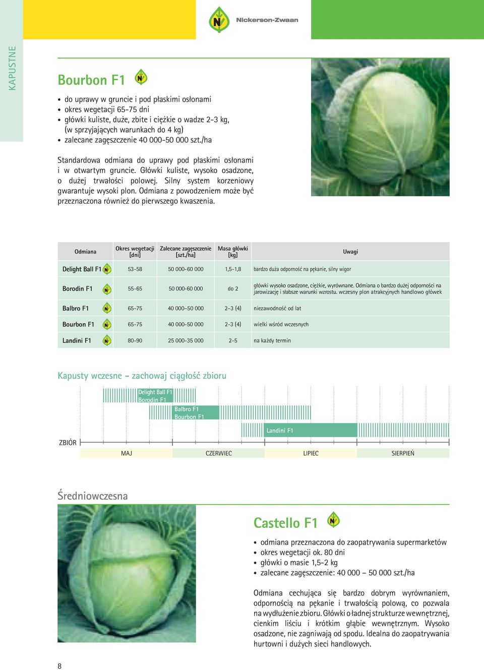 Silny system korzeniowy gwarantuje wysoki plon. Odmiana z powodzeniem może być przeznaczona również do pierwszego kwaszenia. Odmiana Okres wegetacji [dni] Zalecane zagęszczenie [szt.