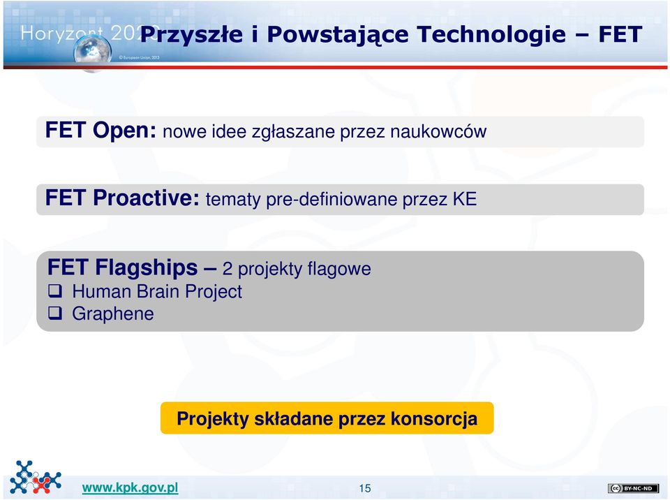 pre-definiwane przez KE FET Flagships 2 prjekty