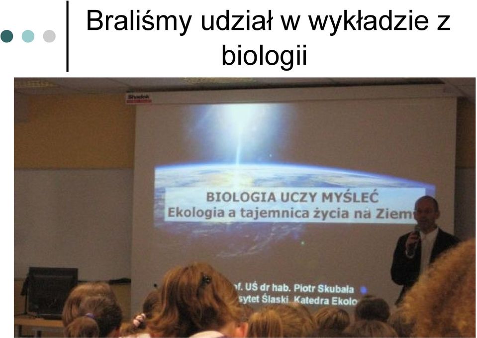 wykładzie